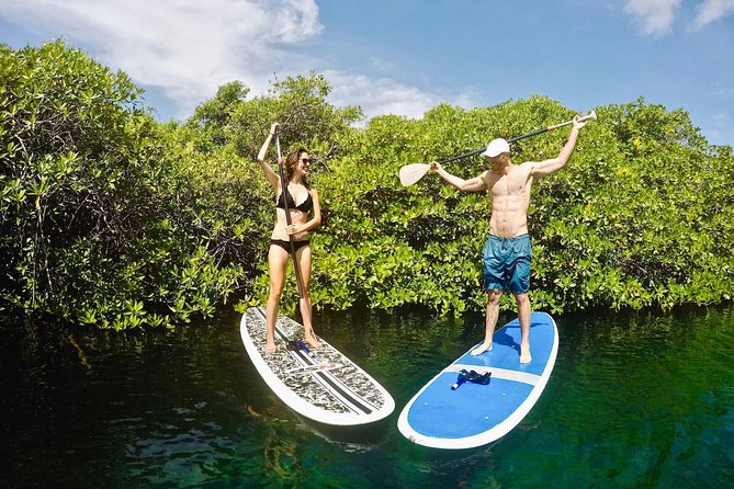 Cenote Paddleboarding and Snorkeling in Tulum - What the $125 price really covers