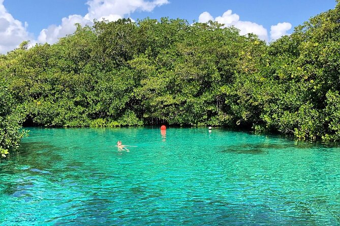 Cenote Triple Adventure Tour in Tulum - Casa Cenote: a jungle swim with wildlife