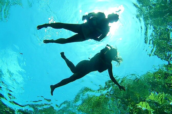 Cenotes Private Tour VIP - Three cenote settings in one morning