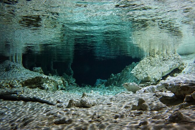 Cenotes Private Tour VIP - What private transportation changes