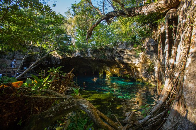 Cenotes trail jungle bike tour in Tulum with lunch - Pedaling out of central Tulum