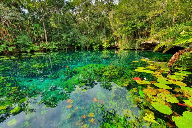 Cenotes trail jungle bike tour in Tulum with lunch - What to wear and bring