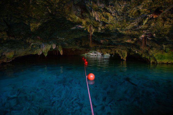 Cenotes trail jungle bike tour in Tulum with lunch - Choosing between two and three cenotes
