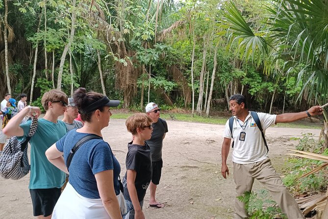 Chacchoben Mayan Ruins Excursion - Is the $59 price good value?