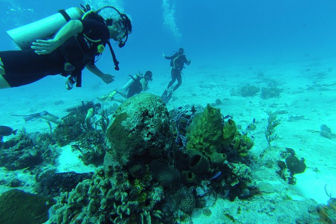 Chankanaab Cozumel Scuba Diving - Key Things To Know Before You Book