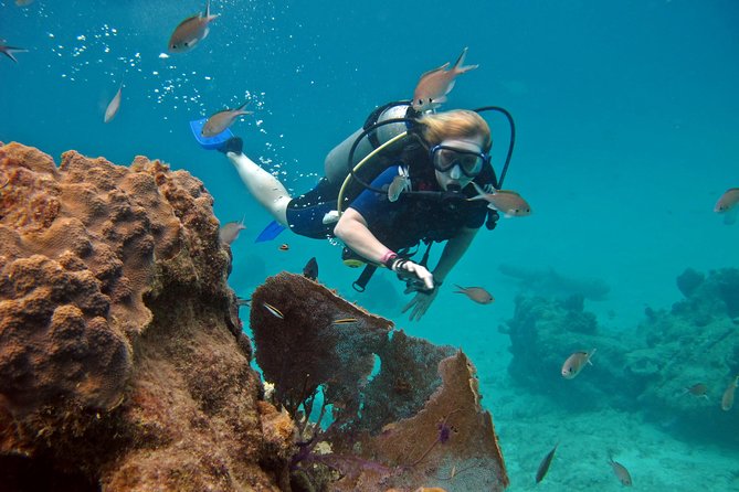 Chankanaab Cozumel Scuba Diving - What the Included Cost Really Gives You