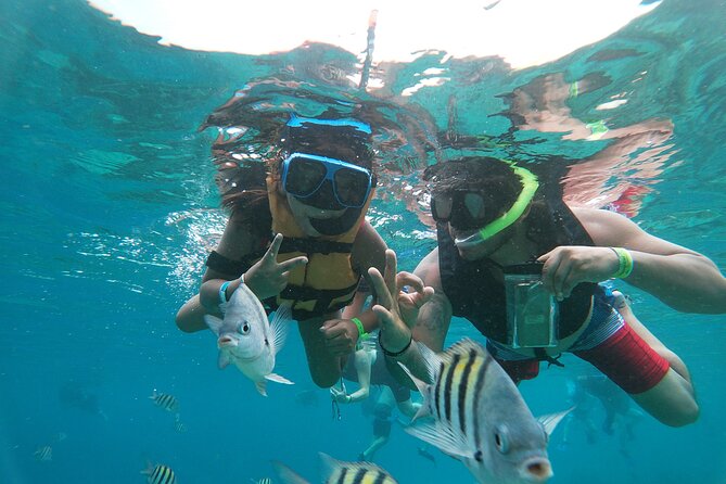 Chankanaab Park Admission + Snorkeling - Snorkeling at the Chankanaab Reef
