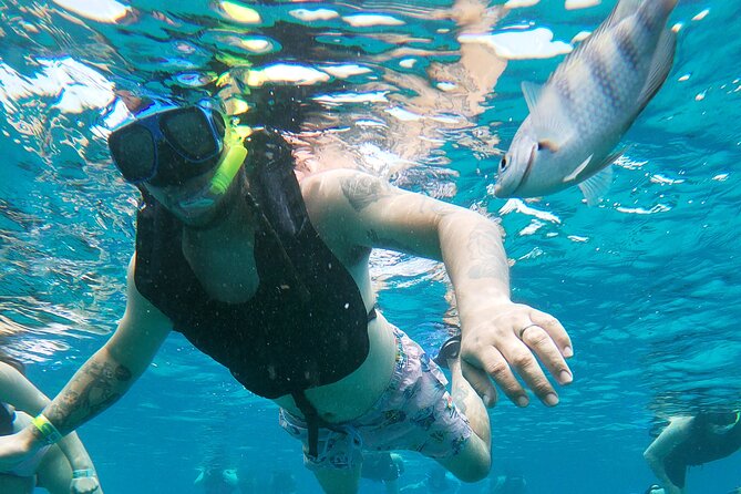 Chankanaab Park Admission + Snorkeling - The price is fair only if you use the included pieces