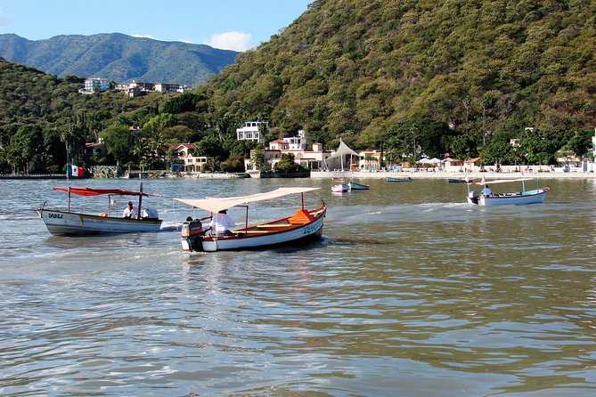 Chapala Lake & Ajijic Tour with "Tres Potrillos Ranch" - What the guide adds to the day