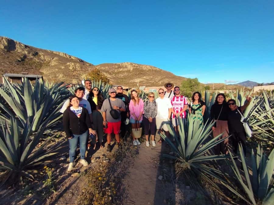Check out Hierve el Agua, Mitla, the Tule Tree, Rugs, and a Mezcal Distillery Tour - The buffet lunch is practical, not a highlight