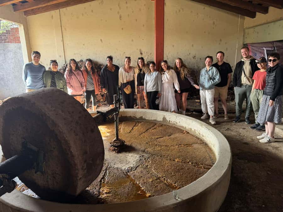 Check out Hierve el Agua, Mitla, the Tule Tree, Rugs, and a Mezcal Distillery Tour - Finish with mezcal, not just a quick sample