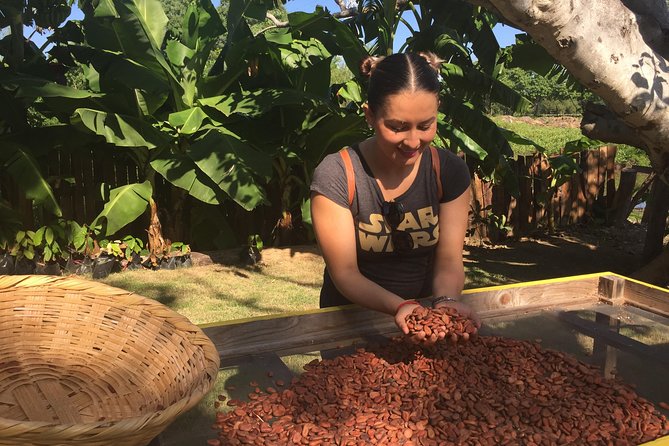 Chocolate Tour in Vallarta - The guides shape the experience