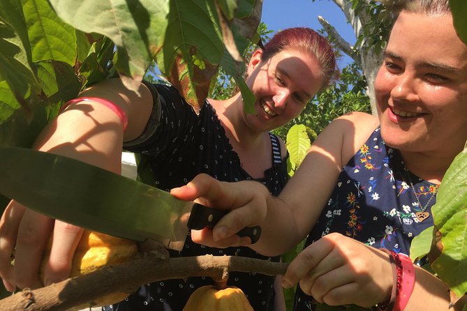 Chocolate Tour in Vallarta - The real cost is getting there