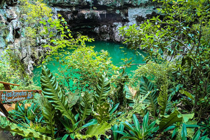 Choose your experience to live in Los 7 Cenotes San Gerónimo - Cycling 1.2 kilometers through the property