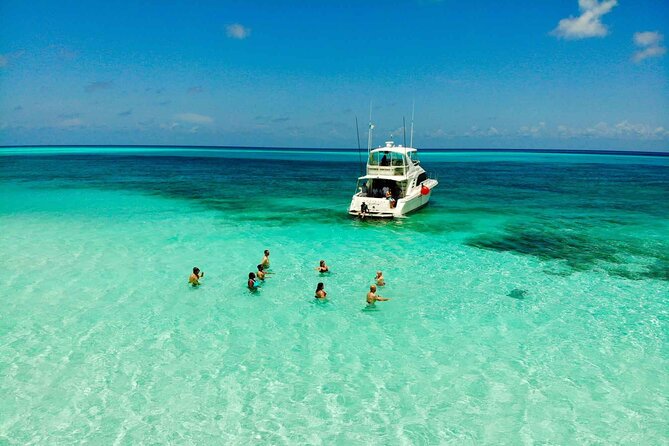 Cielito Cozumel: Mexican Caribbean Snorkeling Tour - Palancar Reef starts the underwater show