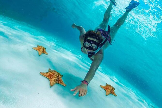 Cielito Cozumel: Mexican Caribbean Snorkeling Tour - El Cielo is the easygoing finale