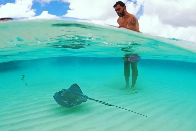 Cielito Cozumel: Mexican Caribbean Snorkeling Tour - What the four and a half hours really includes