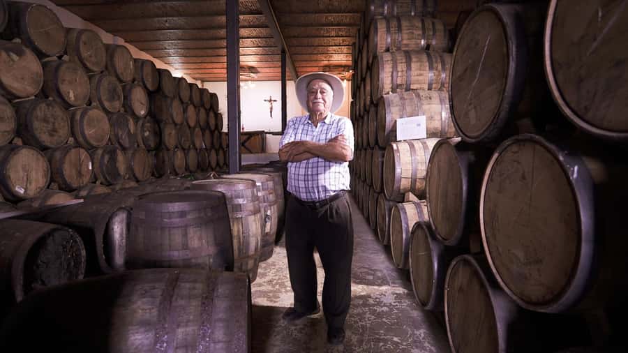 Classic Tequila Route Tour from Guadalajara and cantaritos el GÜERO!!! - A second look at agave country