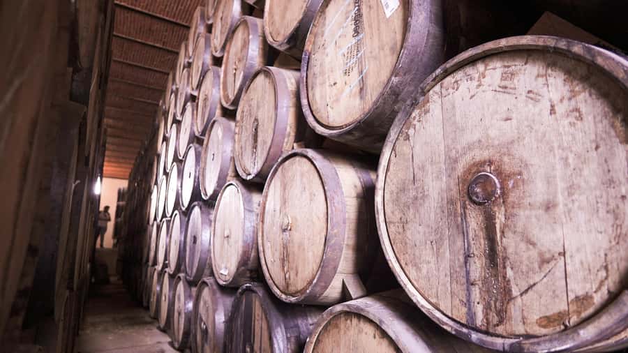Classic Tequila Route Tour from Guadalajara and cantaritos el GÜERO!!! - What guides add to the day