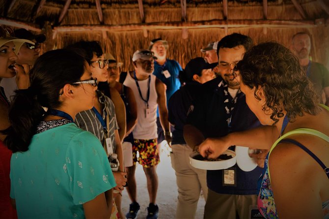 Coba and Tulum, cenote swim and buffet lunch - The timing is the biggest practical challenge