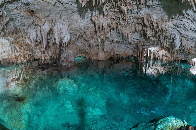 Coba Private Tour – Ancient Ruins & Refreshing Cenote Swim - A guide who shapes the whole morning