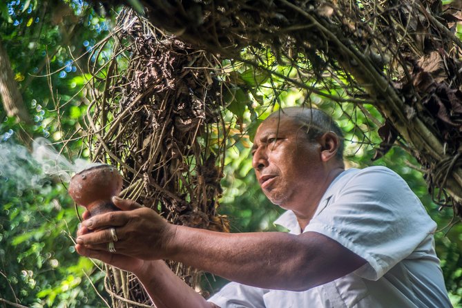 Coba Ruins, Punta Laguna Nature Reserve, Cenote and Mayan family - Finishing at a cool cenote