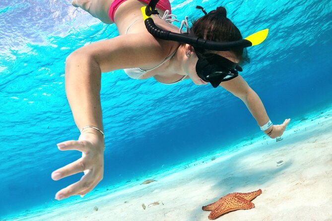 Colombia, Palancar & Cielo Cozumel Snorkel Tour - What the four-hour Cozumel outing is really like