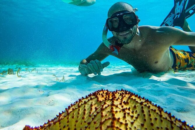 Colombia, Palancar & Cielo Cozumel Snorkel Tour - Meeting in downtown Cozumel or at a cruise-port hotel