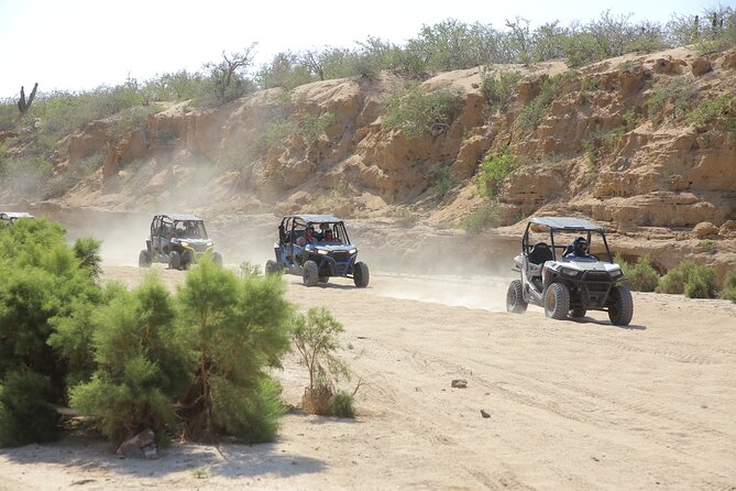 Combo Off Road 4x4 UTV Camel Ride Lunch and Tequila Tasting - Key points before you book