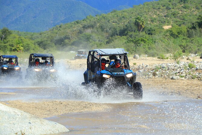 Combo Off Road 4x4 UTV Camel Ride Lunch and Tequila Tasting - From Cabo pickup to Tierra Sagrada