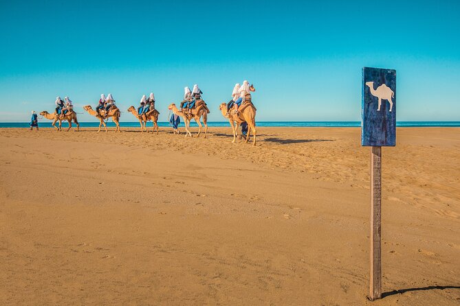 Combo Off Road 4x4 UTV Camel Ride Lunch and Tequila Tasting - Mexican buffet at the ocean-front restaurant