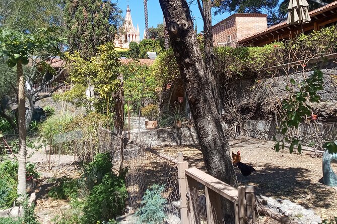 Cook & Dine | Make Authentic Mexican Mole and Salsas in San Miguel de Allende - The veranda turns the lesson into dinner