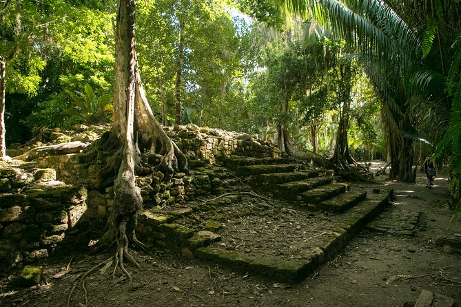 Costa Maya Shore Excursion: Chacchoben Day Trip - Key points to know before booking