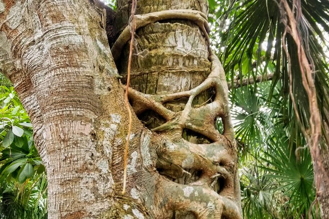 Costa Maya Shore Excursion: Chacchoben Day Trip - Small extras that improve the day