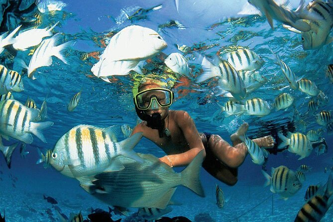 Costa Maya Snorkel Tour - What the $40 price really covers