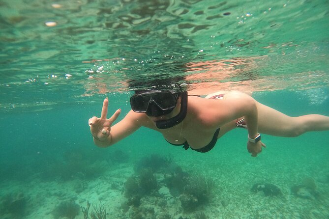 Costa Maya, snorkeling on the reef with fish, looking for turtles - GoPro photos are useful, but confirm delivery
