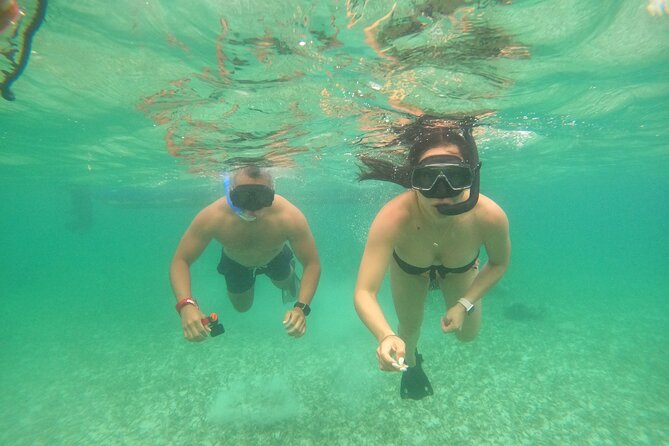 Costa Maya, snorkeling on the reef with fish, looking for turtles - Timing, group size, and physical demands