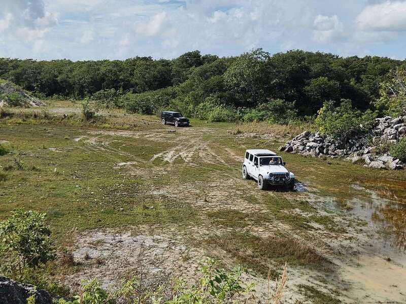 Cozumel: 5-Hour Private Caves and Ruins Tour with Lunch - Why Cozumel’s jungle side is worth your morning