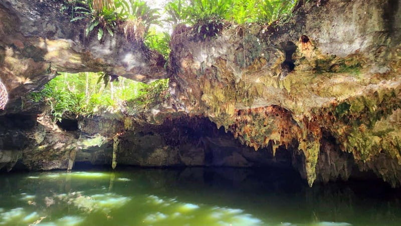 Cozumel: ATV Off-Road Adventure to Jade Cavern - Should you book the Jade Cenote ATV tour?