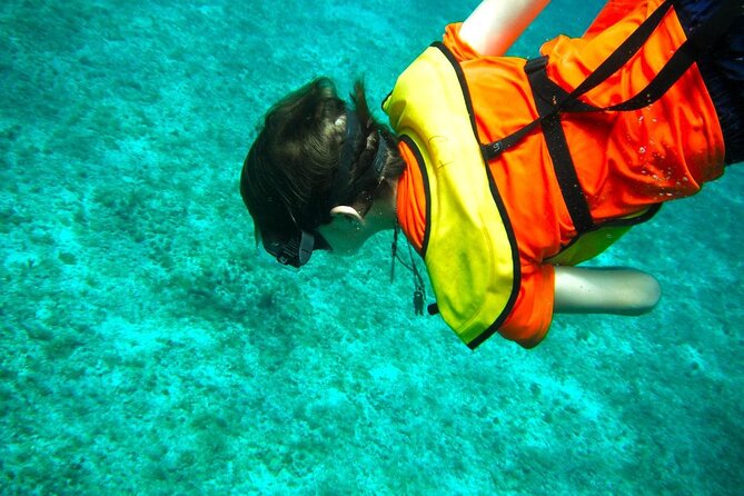 Cozumel Buggy Tour: Snorkeling , Otoch Mayan Experience & Lunch - San Martin Beach and the included fajitas