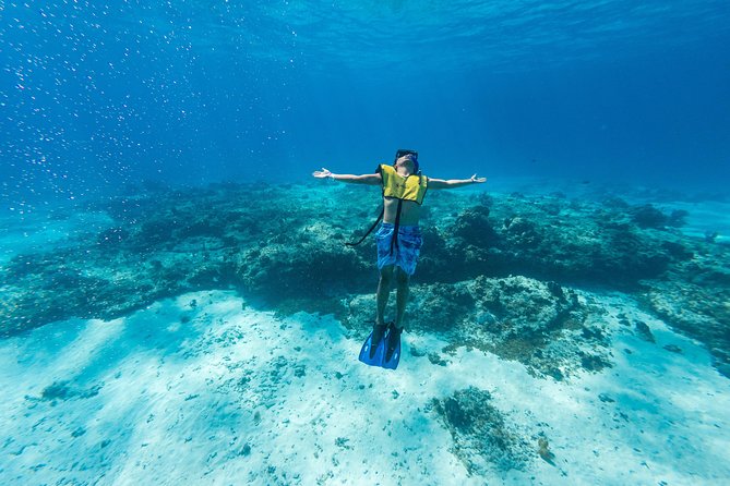 Cozumel Catamaran Snorkeling Tour & lunch® - A six-hour sampler of Cozumel’s coast