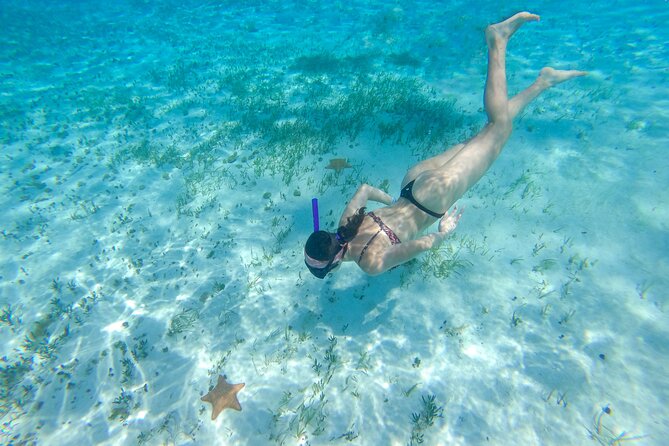 Cozumel Catamaran Snorkeling Tour & lunch® - Value, extra charges, and practical planning