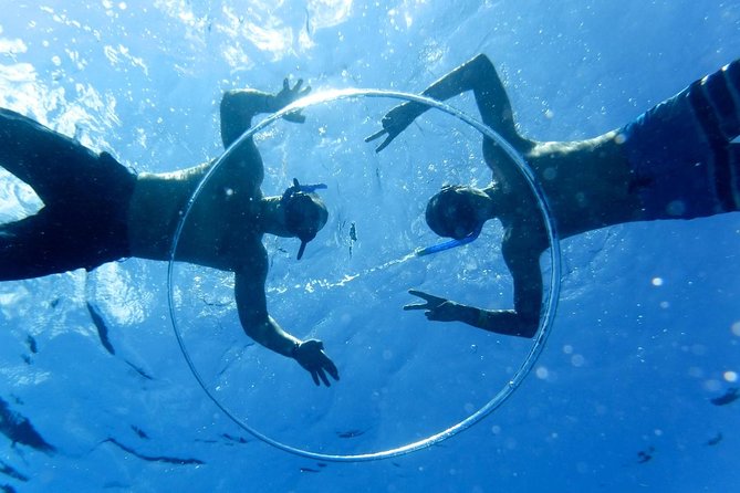 Cozumel Catamaran Snorkeling Tour & lunch® - Snorkeling at Colombia or Palancar Reef