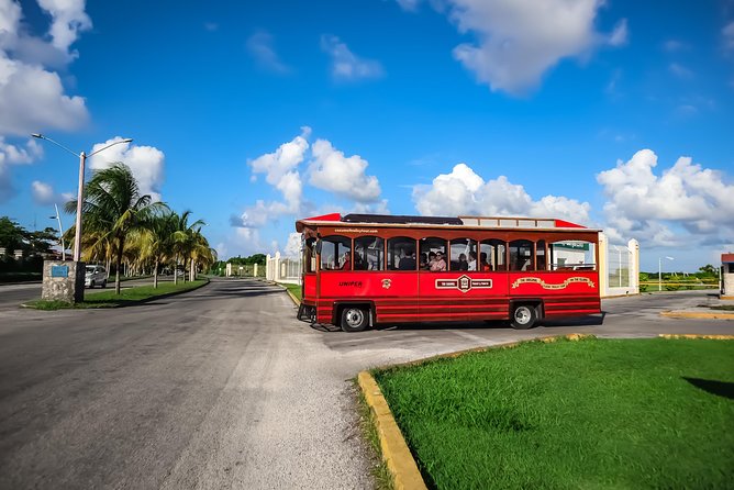 Cozumel City Tour By Trolley - Shopping near the main square