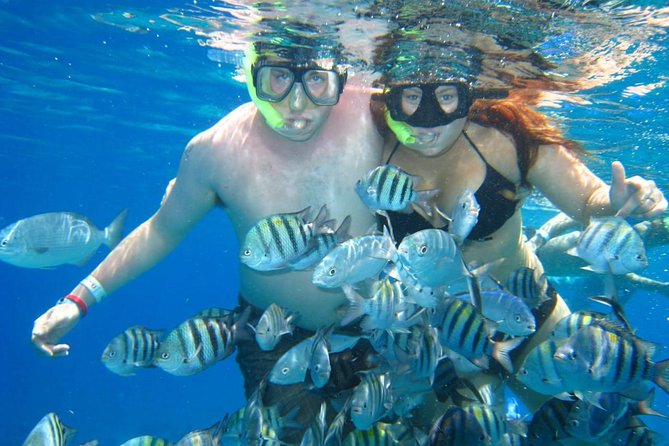 Cozumel Coral Reef Snorkeling by Glass Bottom Boat with Guide - Rough water and reef care
