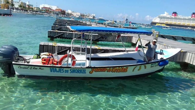 Cozumel: El Cielo & Palancar Snorkel with Open Bar & Ceviche - Palancar Reef gives you the best underwater variety