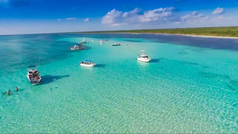 Cozumel: El Cielo & Palancar Snorkel with Open Bar & Ceviche - El Cielito adds ceviche, fruit, and a floating bar