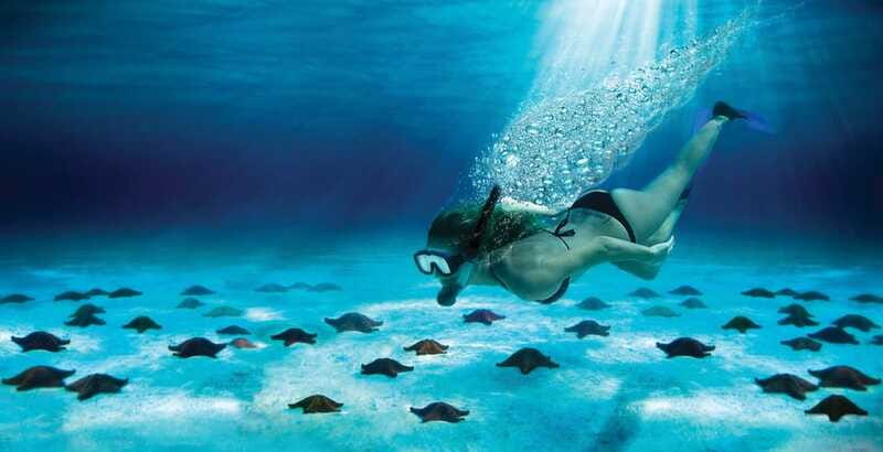 Cozumel: El Cielo & Palancar Snorkel with Open Bar & Ceviche - What the $72 price really covers