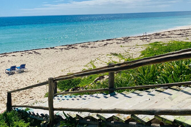 Cozumel Jeep Adventure Natural Cenote & Mayan Experience OTOCH - What the private Jeep setup means for your day