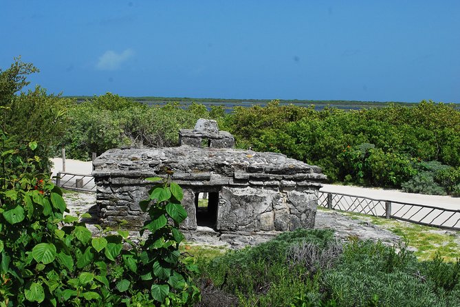 Cozumel Jeep and Snorkel Adventure with Lunch at Punta Sur Park - Who will get the most from this Cozumel tour?